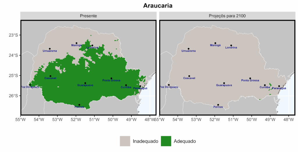 Resultados preliminares do NAPI Biodiversidade - Serviços Ecossistêmicos e Centro de Computação Científica e Software Livre da UFPR revelam áreas e grupos biológicos sob maior risco